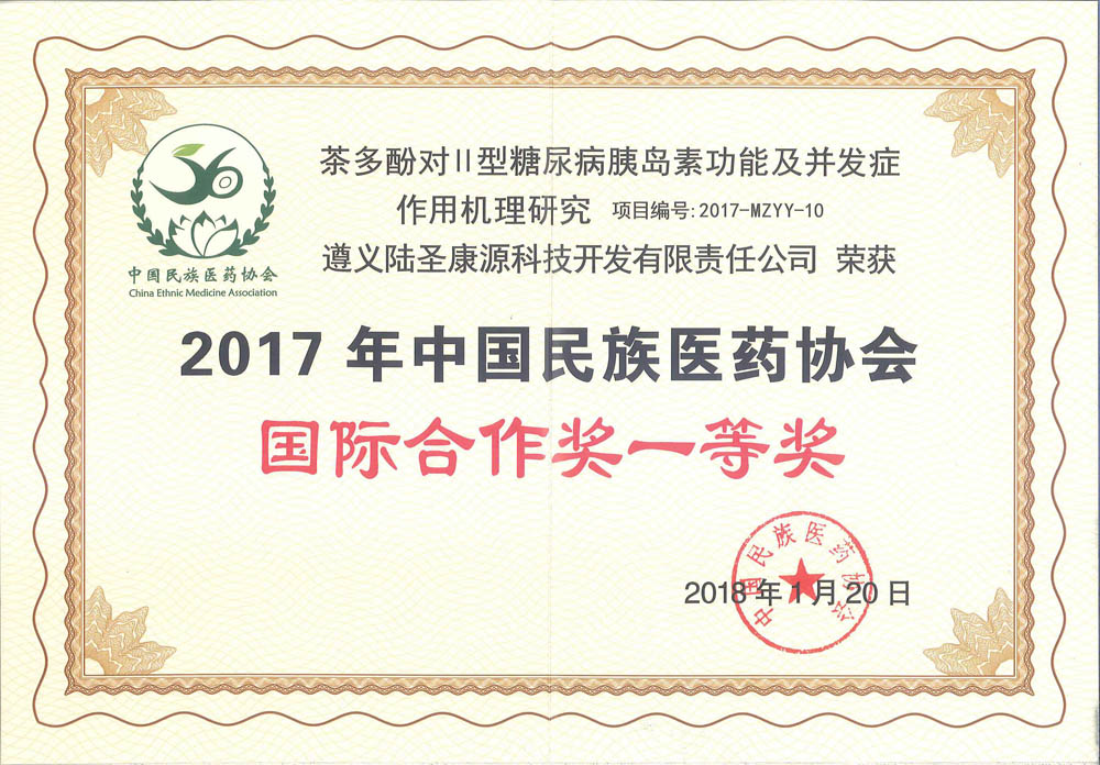 国际合作奖一等奖